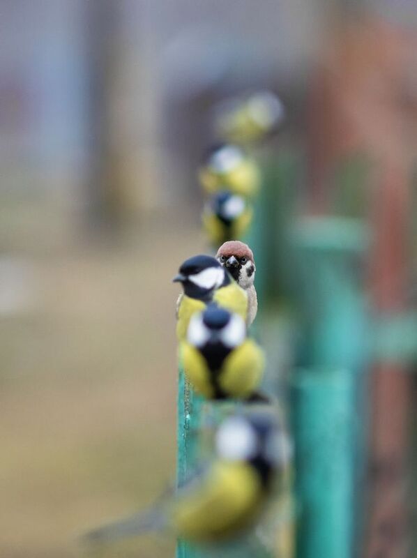 Штирлиц никогда не был так близок к провалу фото превью