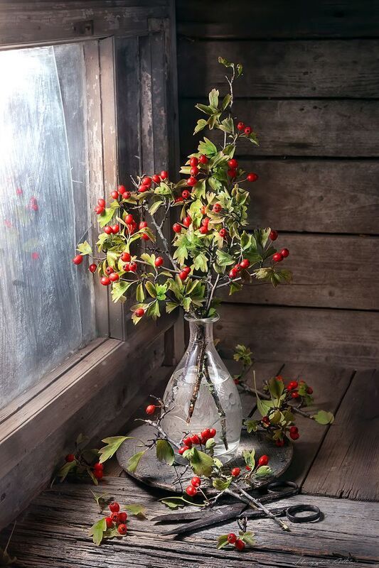 Galagonyaphoto preview