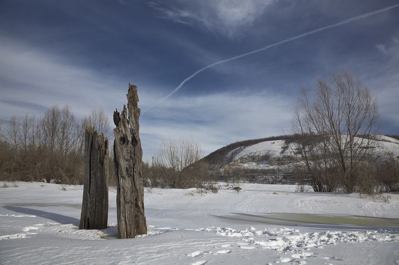 зима Два дереваphoto preview