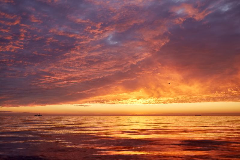 охотское море, лето, закат, штиль, небо fiery sunset 3 фото превью