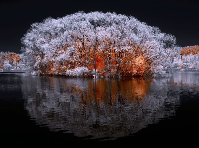 infrared,ик-фото,инфракрасное фото, инфракрасная фотография, пейзаж, весна Полночь в весенний полдень фото превью