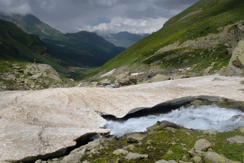 Снежник.photo preview