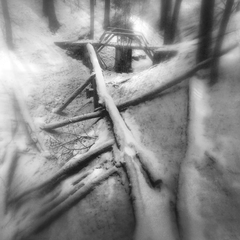 чб, лес, зима, мостик Старое русло.photo preview