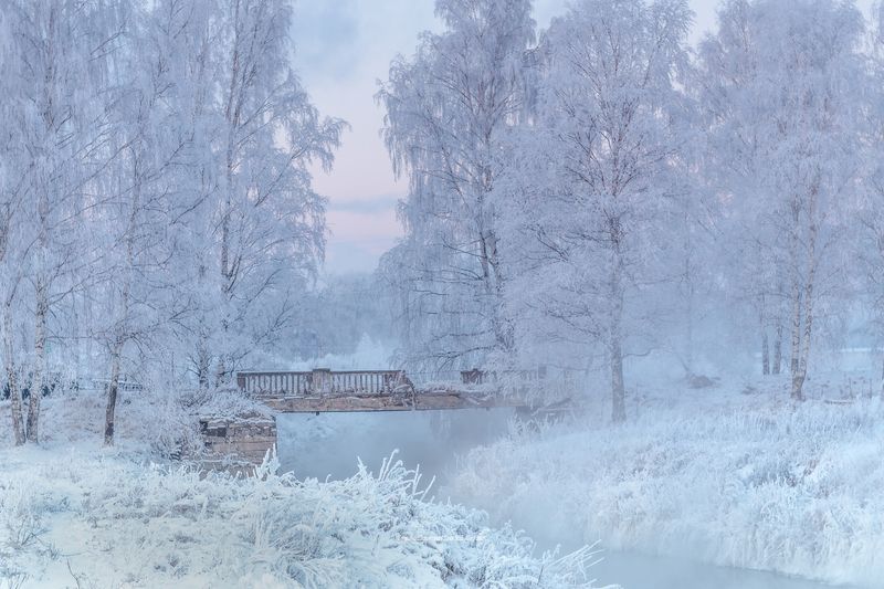питер, пушкин, царское село, царское,  landscape, tsarskoye selo, городской пейзаж, санкт-петербург Немного питерской зимыphoto preview