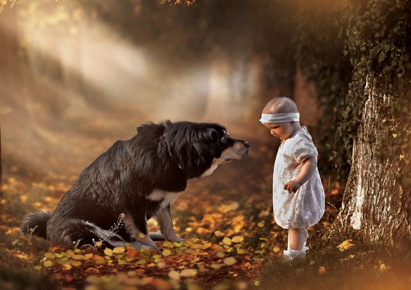 Гипноз) фото превью