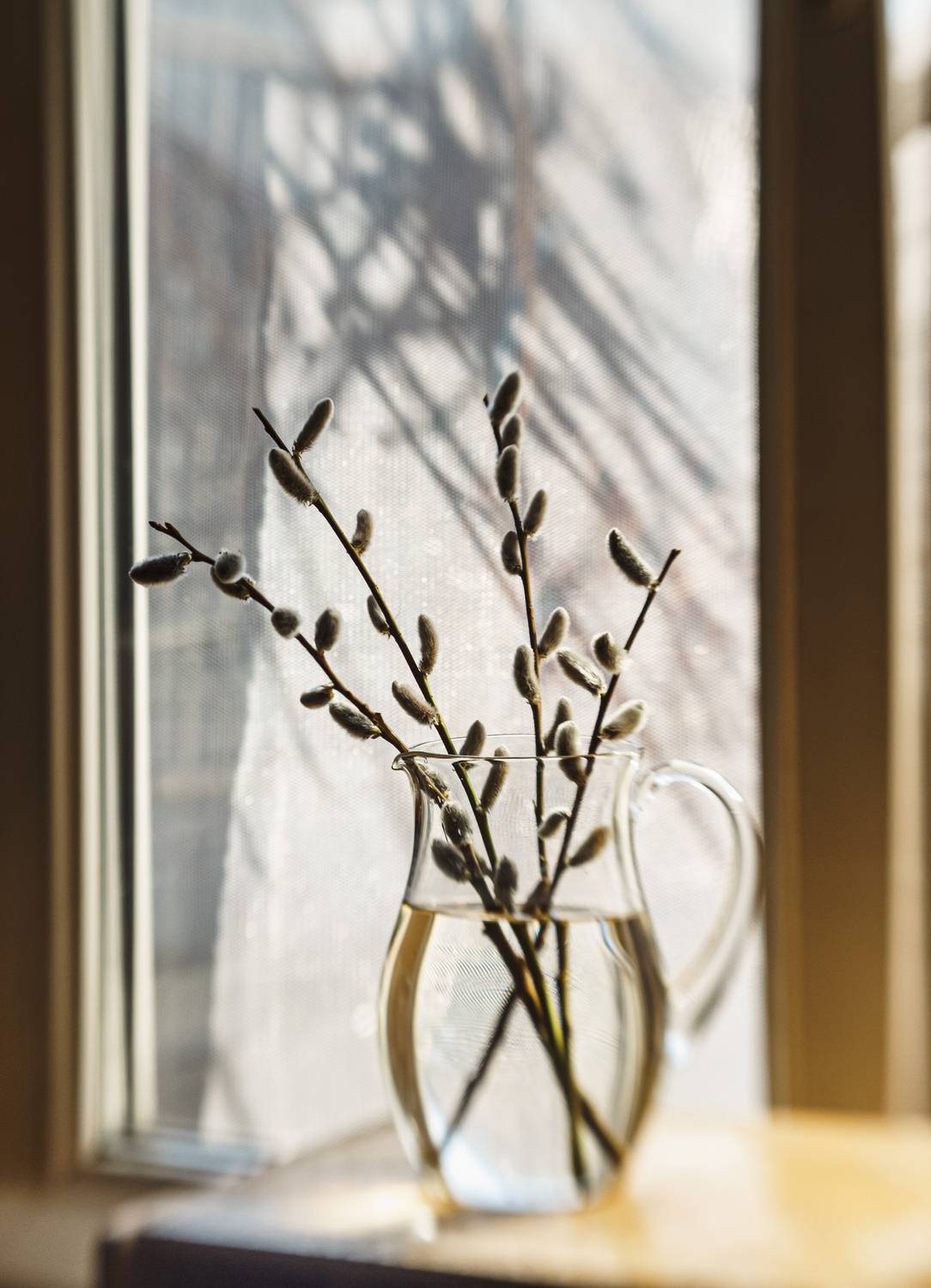 , Лофицкая Лариса