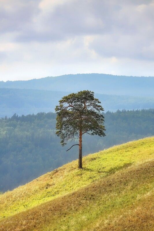 Ильичphoto preview