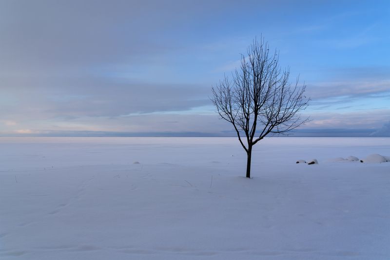 Финский залив, Петергоф, Санкт-Петербург, Россияphoto preview