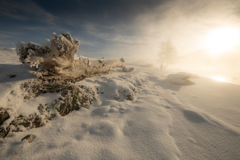 Курай фото превью