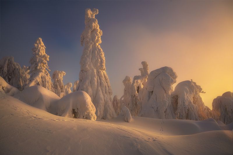 полюд На просторах Полюдаphoto preview