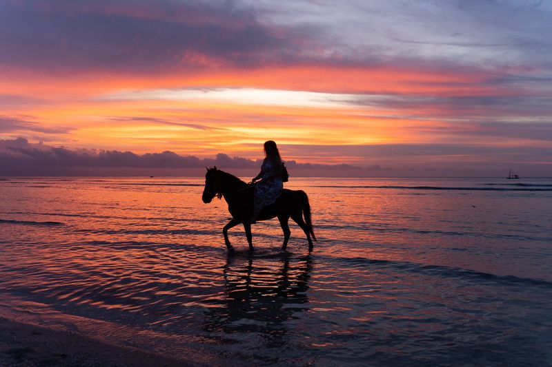 закат, лошадь, девушка photo preview