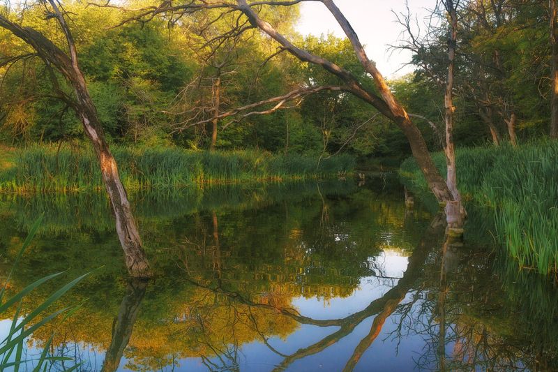 У пруда.photo preview