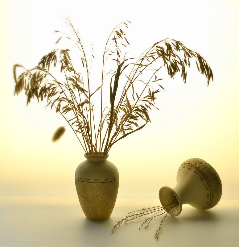 натюрморт,композиция,свет,цвет,букет ***photo preview