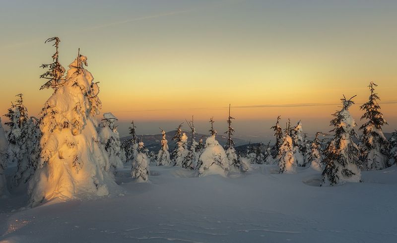 Zimowy poranekphoto preview