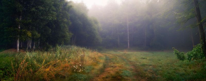 Лесное утроphoto preview