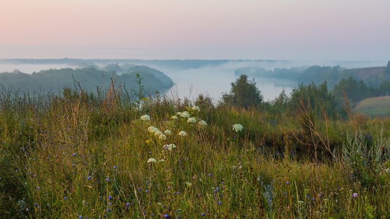 Туман на рекеphoto preview