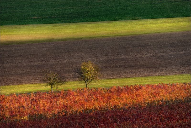 чехия, южная моравия, линии, свет, czech, south moravia, фототур, фототуры Цветные грани тишины ..photo preview