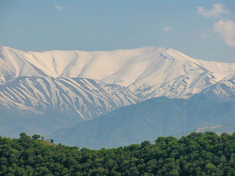 Зебра / Zebra фото превью