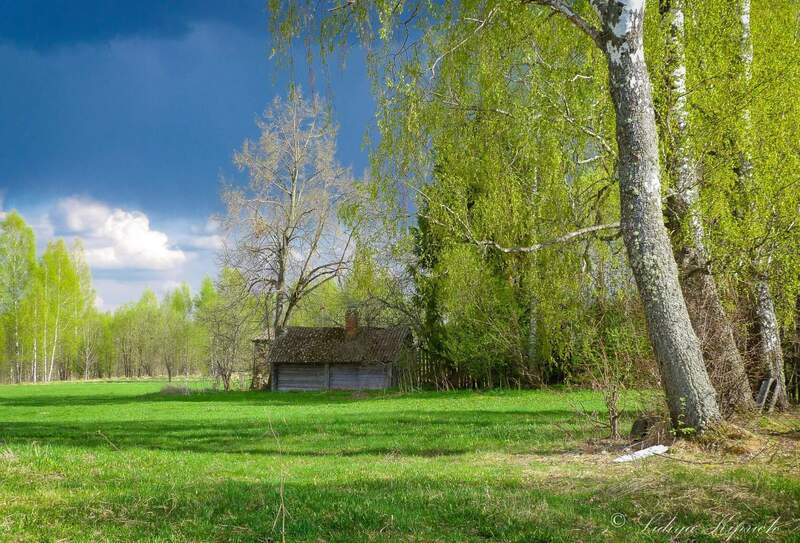 весна в деревне фото превью