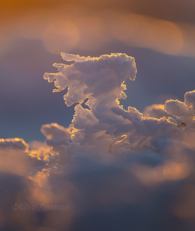 ставропольский край, ставрополье, макро, скульптура, зима, иней, трава, фигуры, фантазия, закат, Скульптуры зимыphoto preview