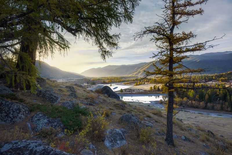 осенним утромphoto preview