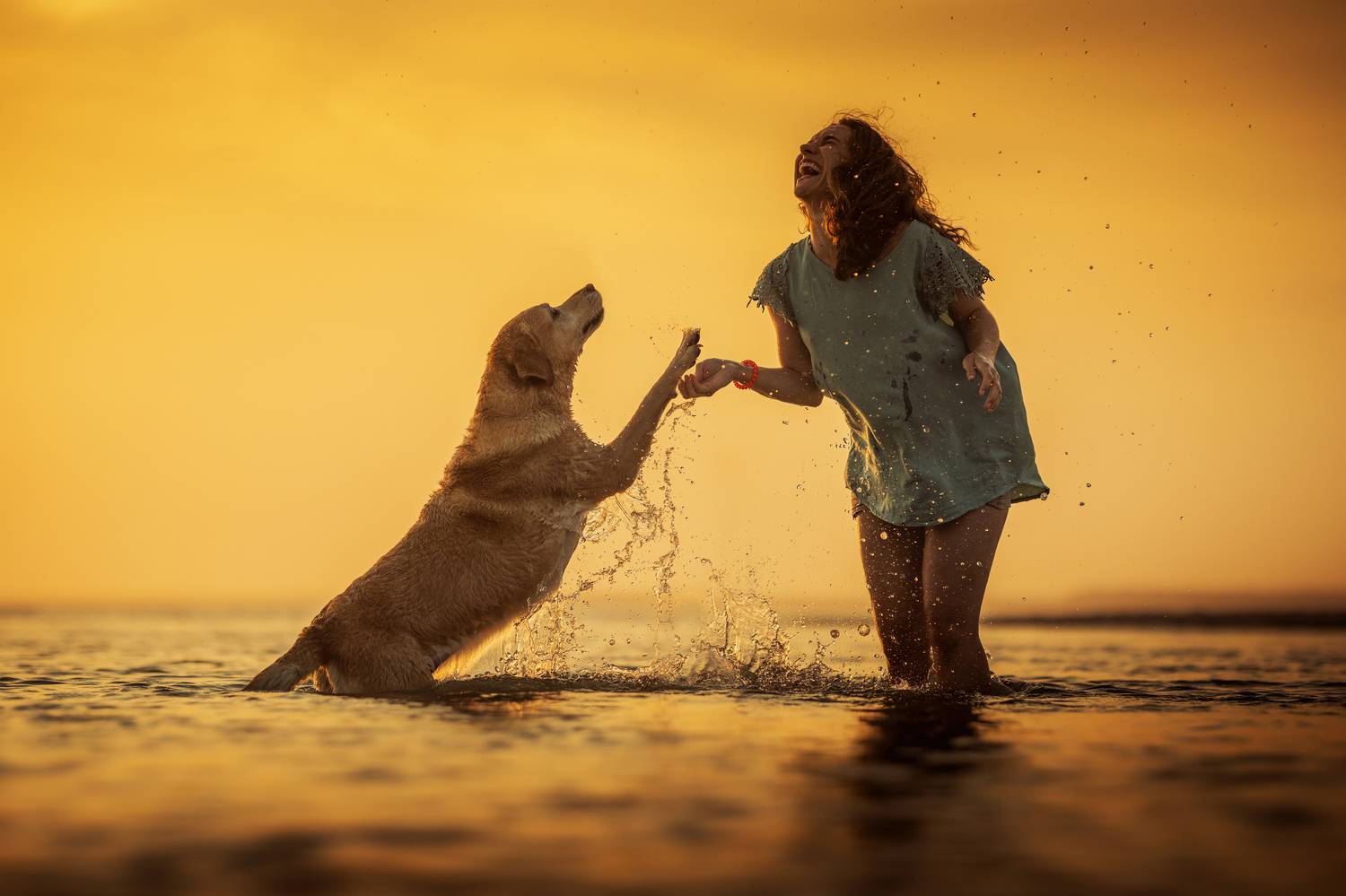Maggie&Patricia. Автор: Alexandre Marques Photography,dogs,pets,animal,woman,girl,sunset,beach,summer,water,labrador,retriever,happy,friendship,warm,colors,outdoor,natural light, Alexandre Marques