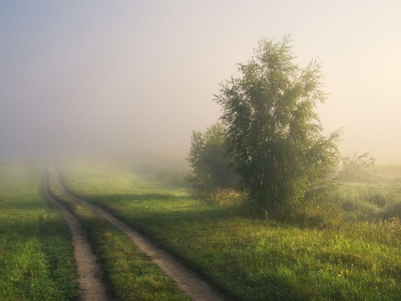 рассвет, поле, россия, туман, утро, дорога Дорогаphoto preview