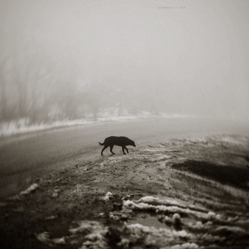 Untitledphoto preview