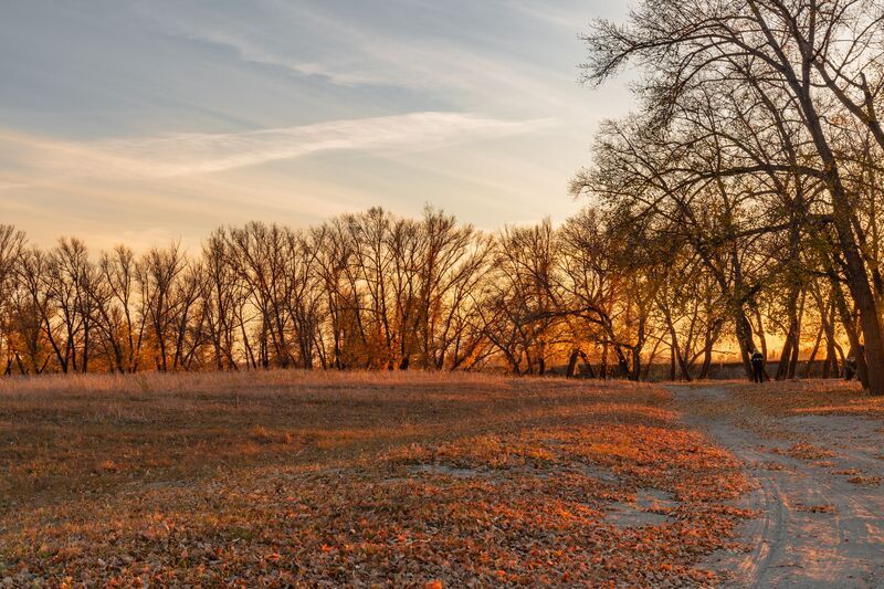 Стражи Тоболаphoto preview
