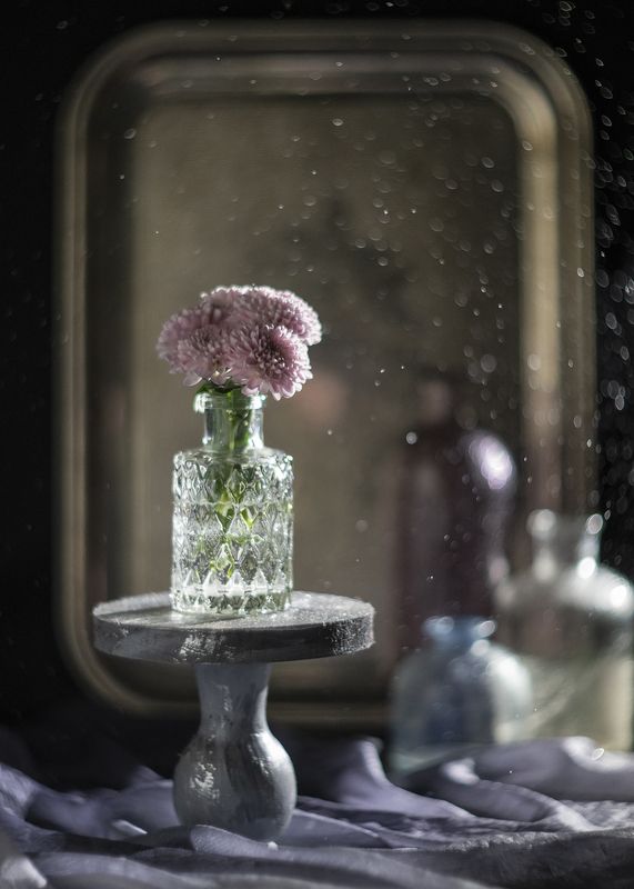 натюрморт боке хризантемы ***photo preview