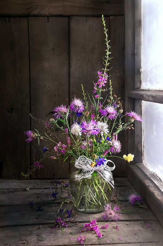 wild flowers, still life. fine art Vadvirágok mézes üvebenphoto preview