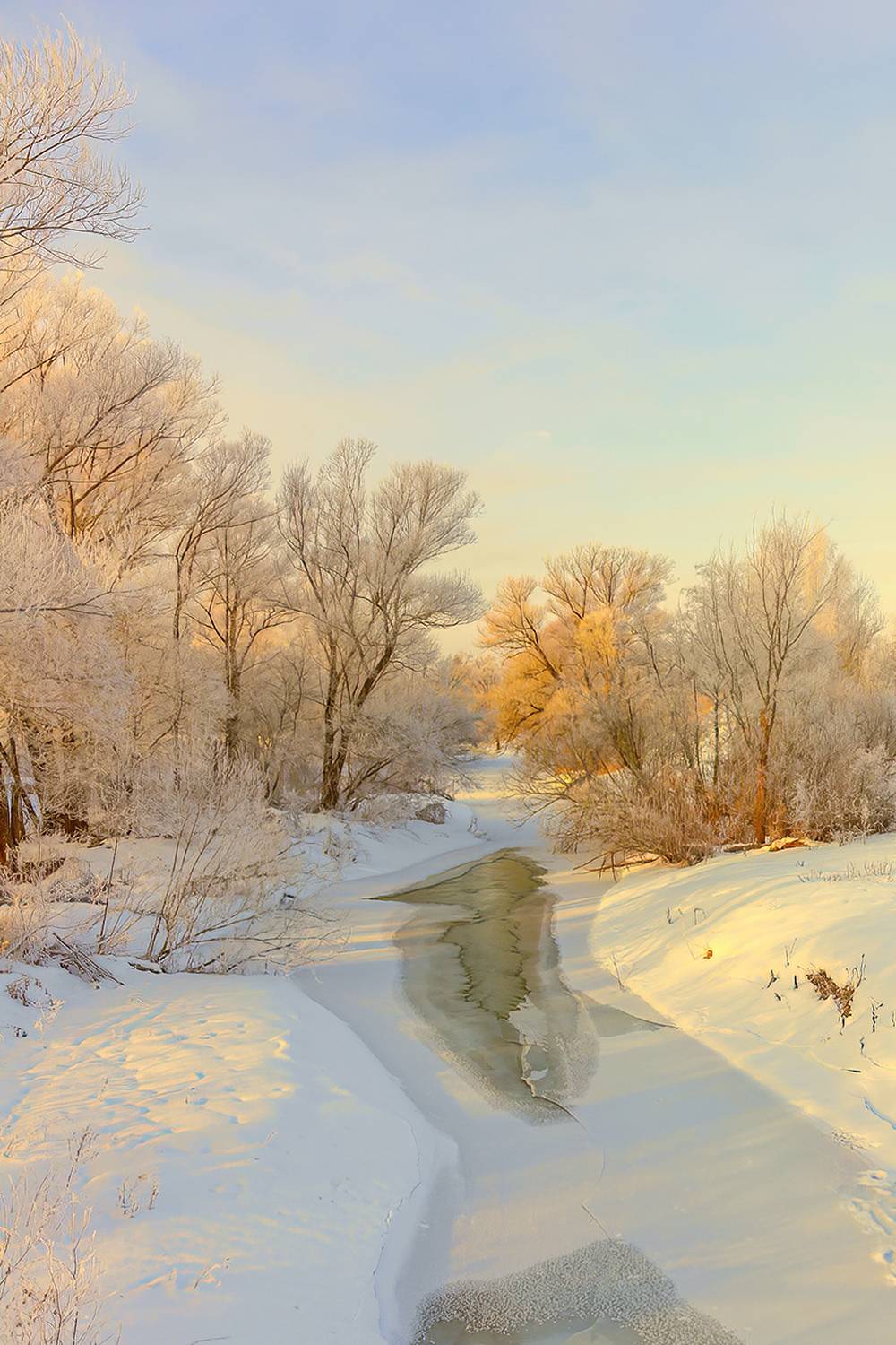 Солнечный день. Автор: Юрий Спасенников россия, подмосковье, природа, пейзаж, зима, снег, лед, солнце, река, деревья, небо, облака, дымка, туман, Юрий Спасенников