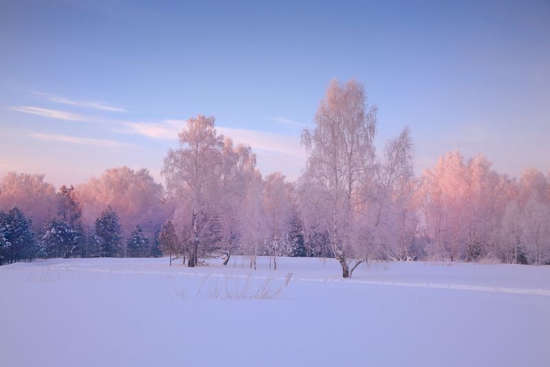 Морозное утроphoto preview