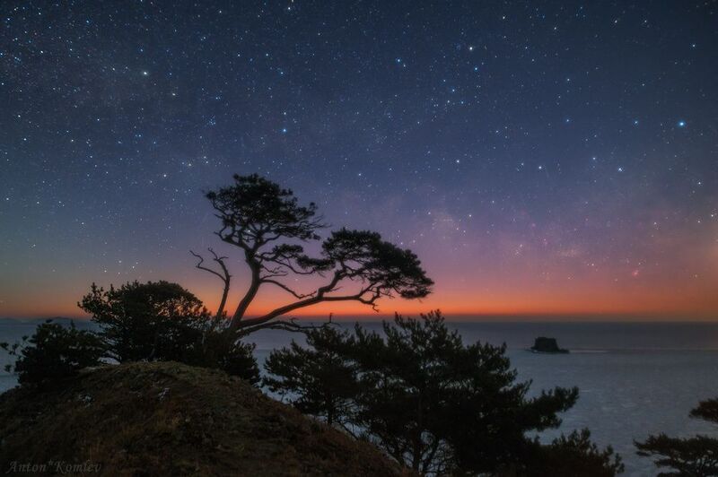 приморье, сумерки, звезды, сосна Рассвет среди звёзд.photo preview