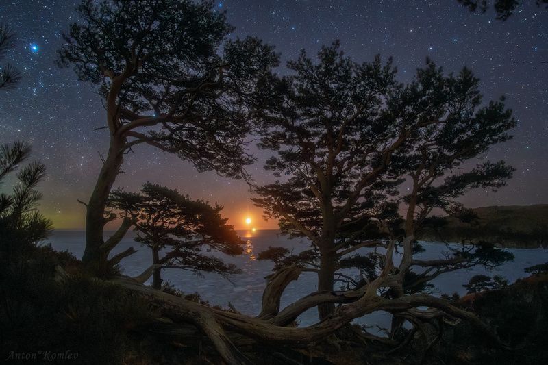 ночь, луна, сосны, приморье, звезды Симфония ночиphoto preview