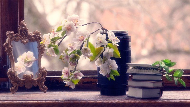 В ожидании весны...photo preview