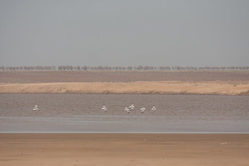 Озеро Солёноеphoto preview