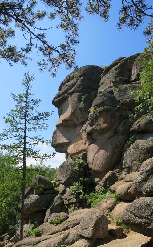 Sveta, Russia