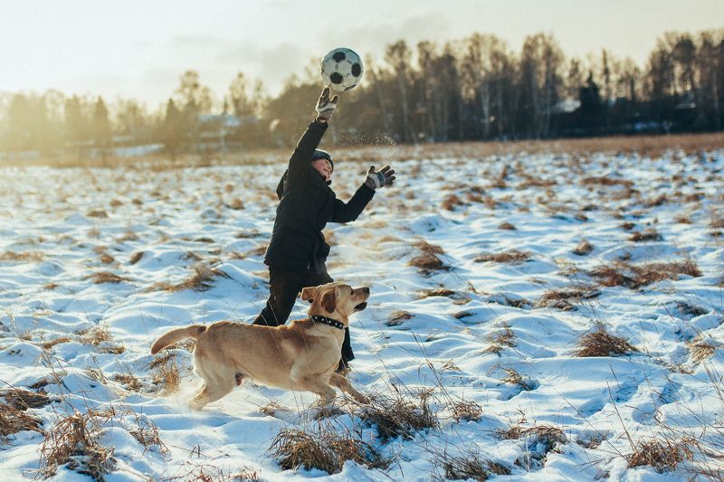 мальчик, собака, игра, дружба, зима С другомphoto preview