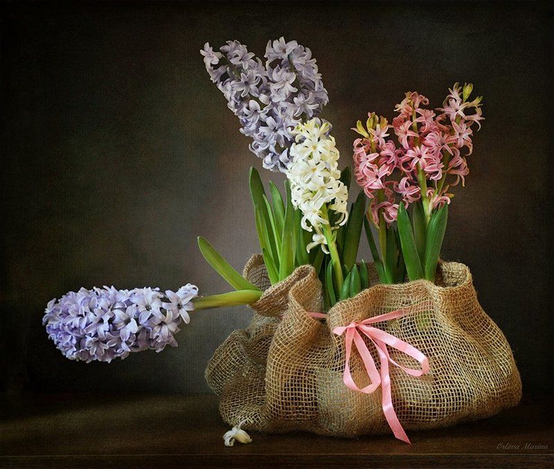 Скоро весна...photo preview