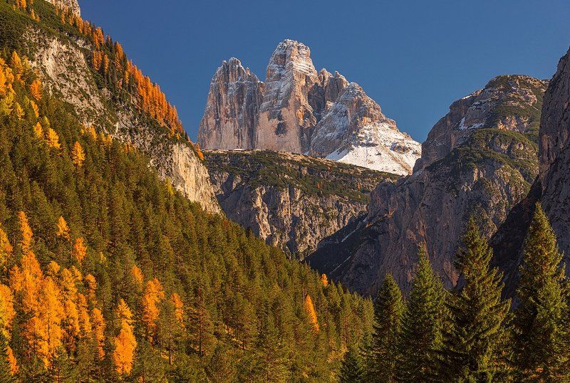 Обманчивая доступностьphoto preview