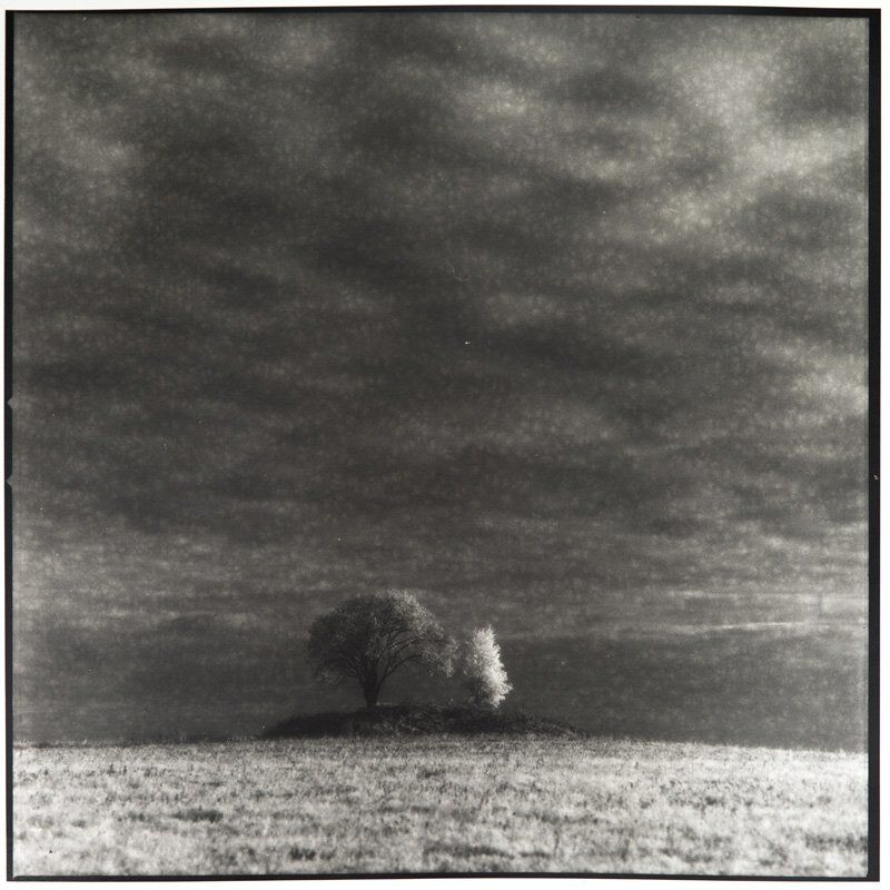 Пара деревьев в поле у Засеки. Лит-печать.photo preview