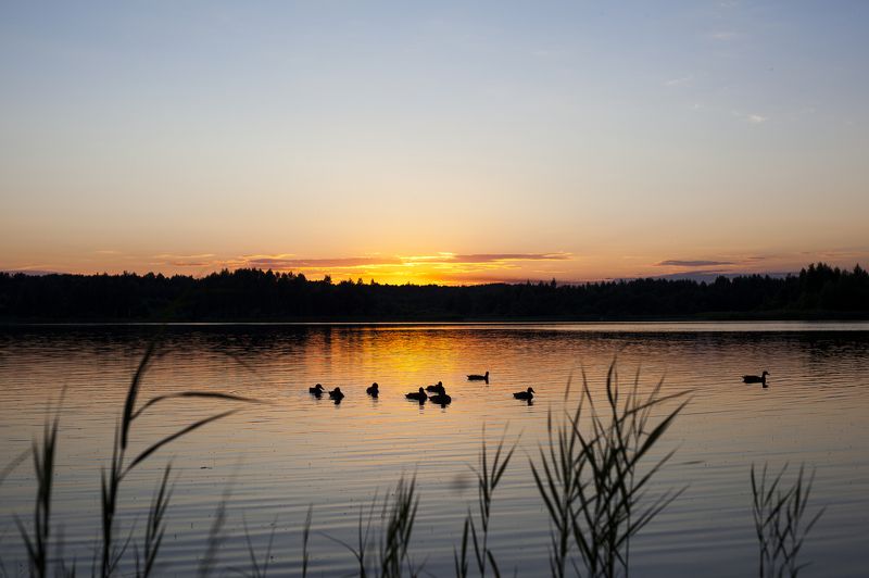 Павел, Russia