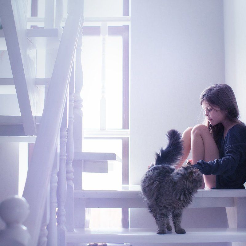 girl, cat, portrait, light ***photo preview