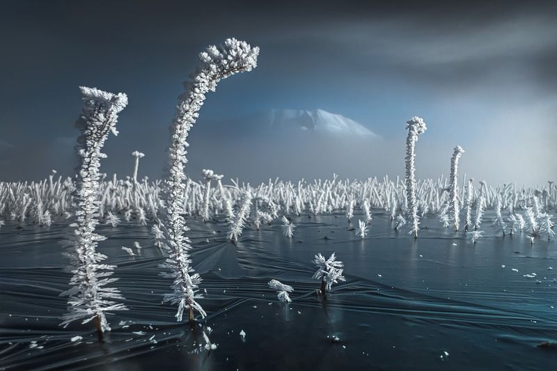 Quiet morningphoto preview