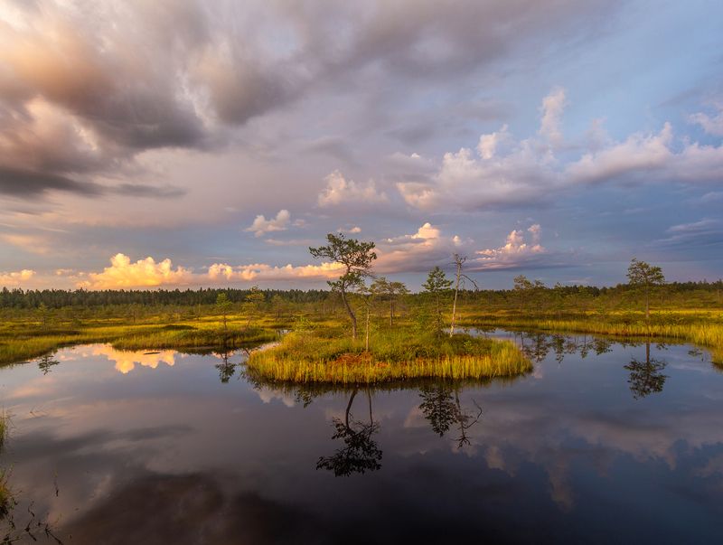 болото, карелия, туман, утро, закат, фототур Вечер на болоте фото превью
