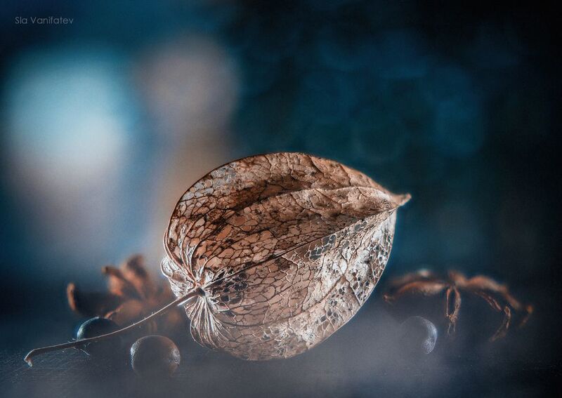 Зимний Натюрphoto preview