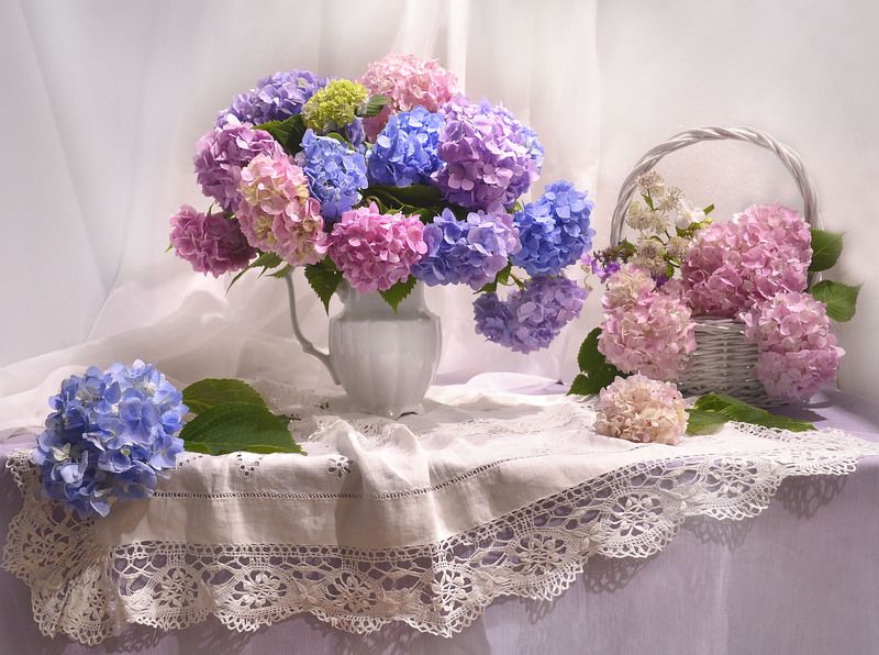 still life, натюрморт, цветы, фото натюрморт, лето, июль, гортензии Июльский бренд...photo preview