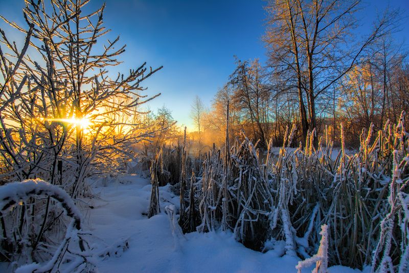 Морозное утроphoto preview