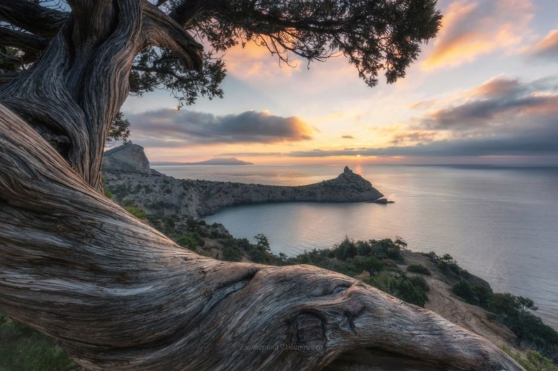 крым, новый свет, море, рассвет, пейзаж, горы, crimea, landscape Классика Нового Светаphoto preview